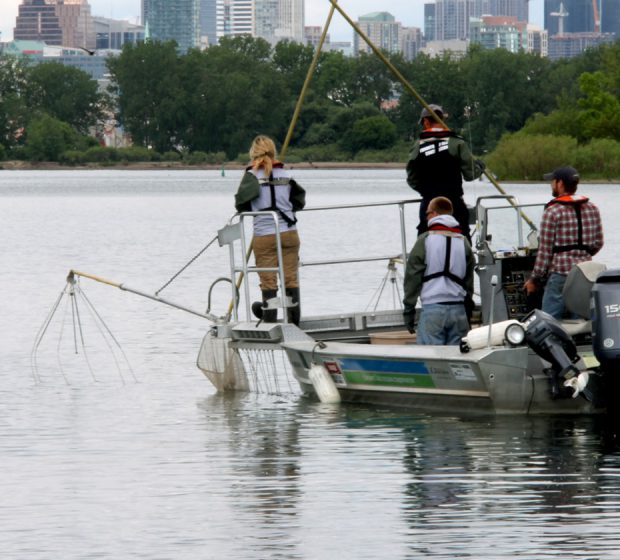 Toronto Harbour Tagging Study Probes the Mysteries of Fish Behaviour.