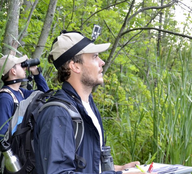 TRCA Terrestrial Monitoring: What are the Plants and Animals Telling Us?