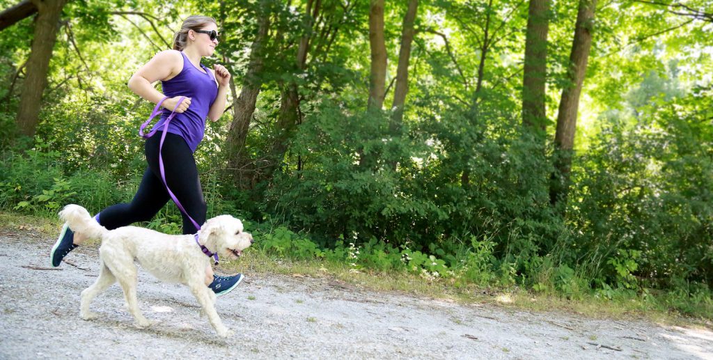 Dog Walking Toronto and Region Conservation Authority (TRCA)