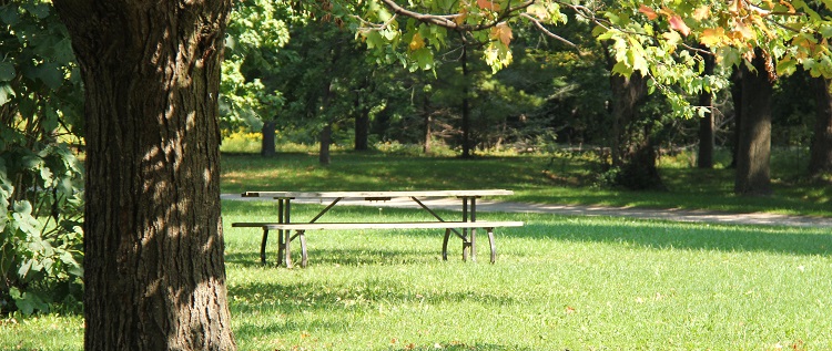 picnic table at Boyd Conservation Park