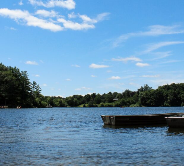 Heart Lake Conservation Park