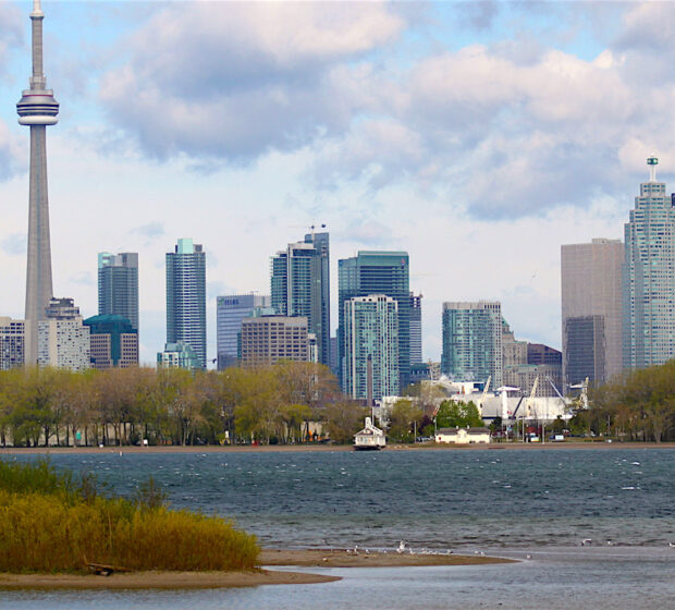 Tommy Thompson Park
