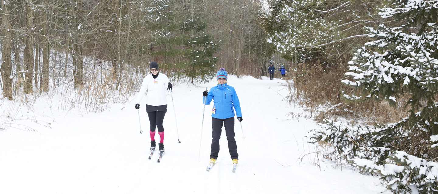 cross country skiers on trail at albion hills conservation area