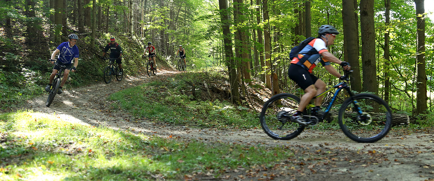 mountain bikers on the trail at albion hills conservation area