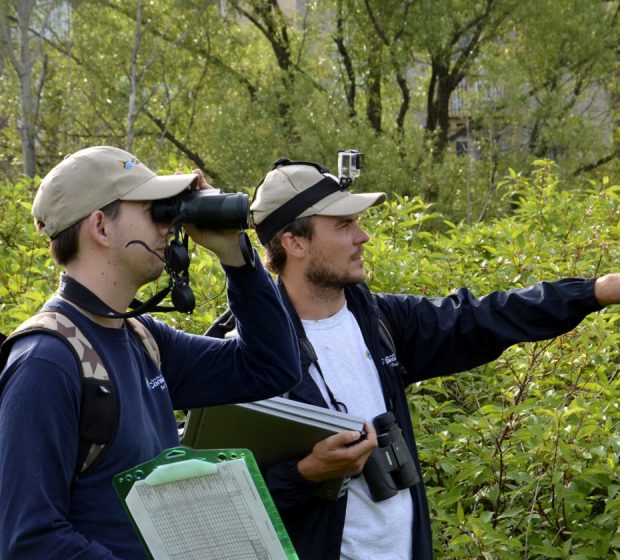 Ecosystem Monitoring & Research
