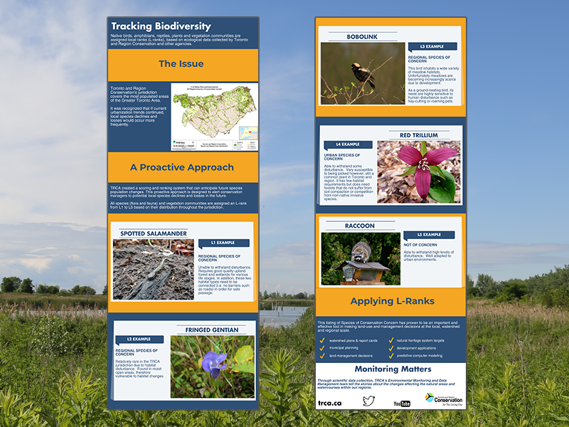 tracking biodiversity infographic
