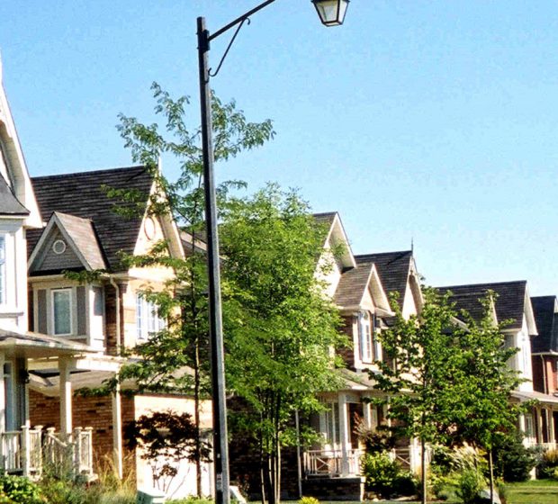 Urban Forest Faces Perilous Future without Intervention: Report