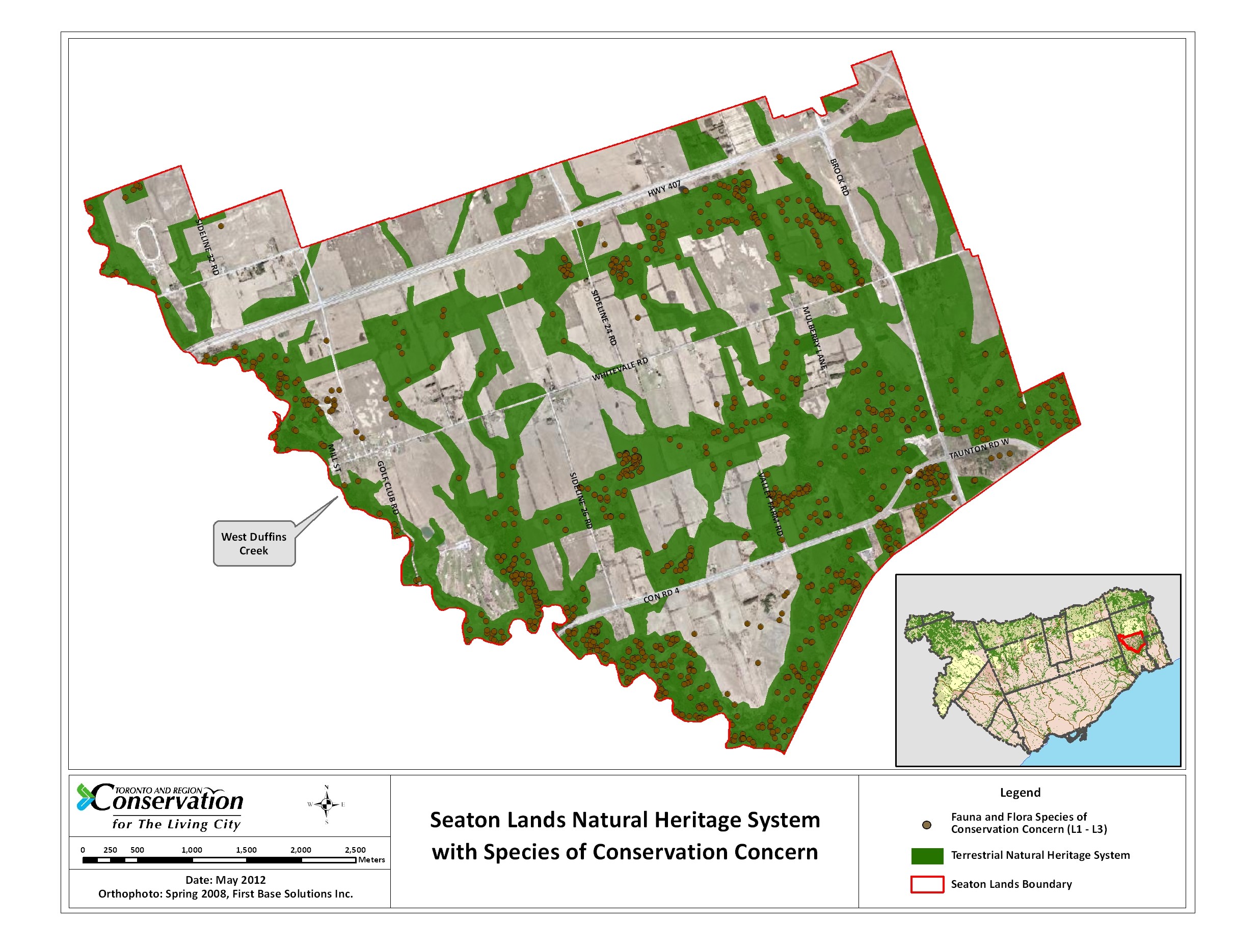 Map showing scoring of species in Seaton Lands Natural Heritage System