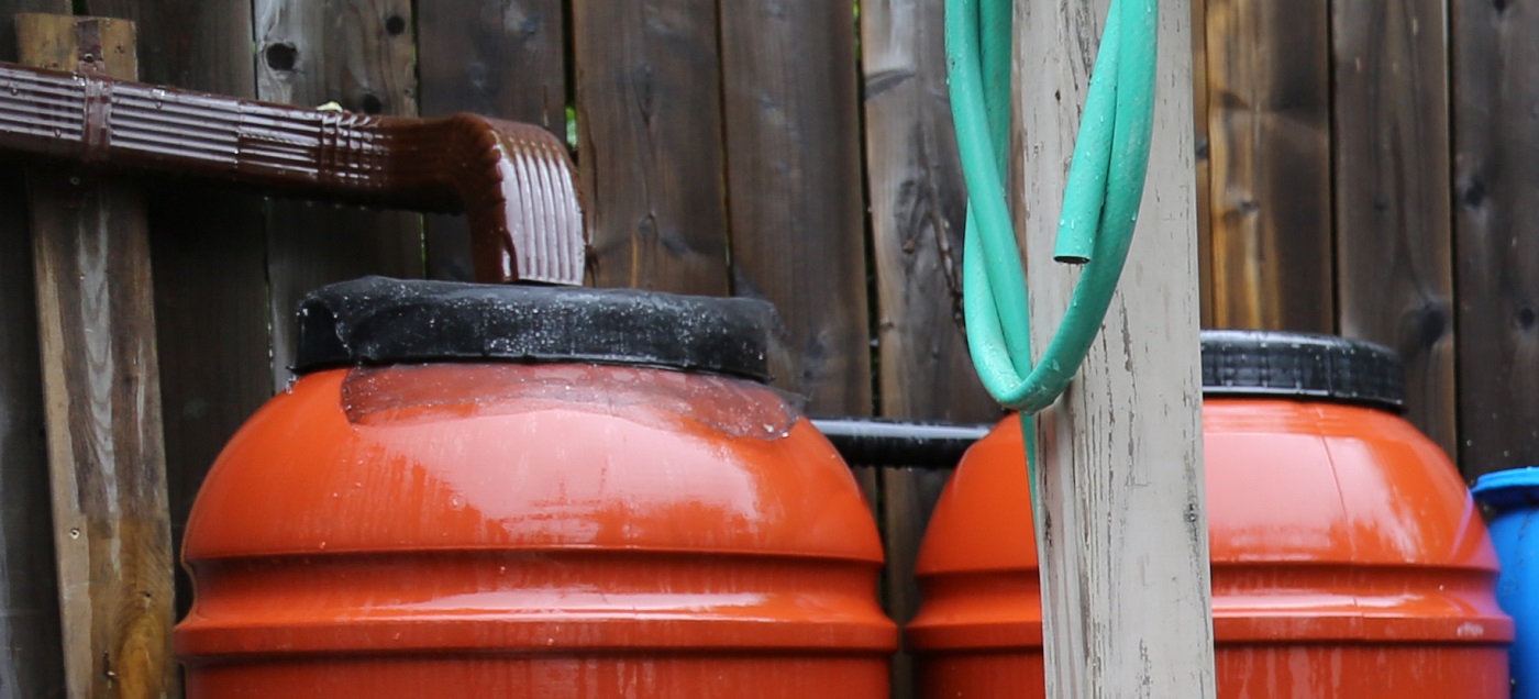 rain barrels in a backyard