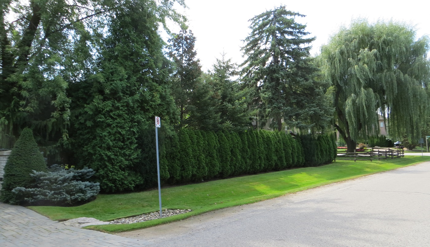 Bayview Glen neighbourhood streetscape