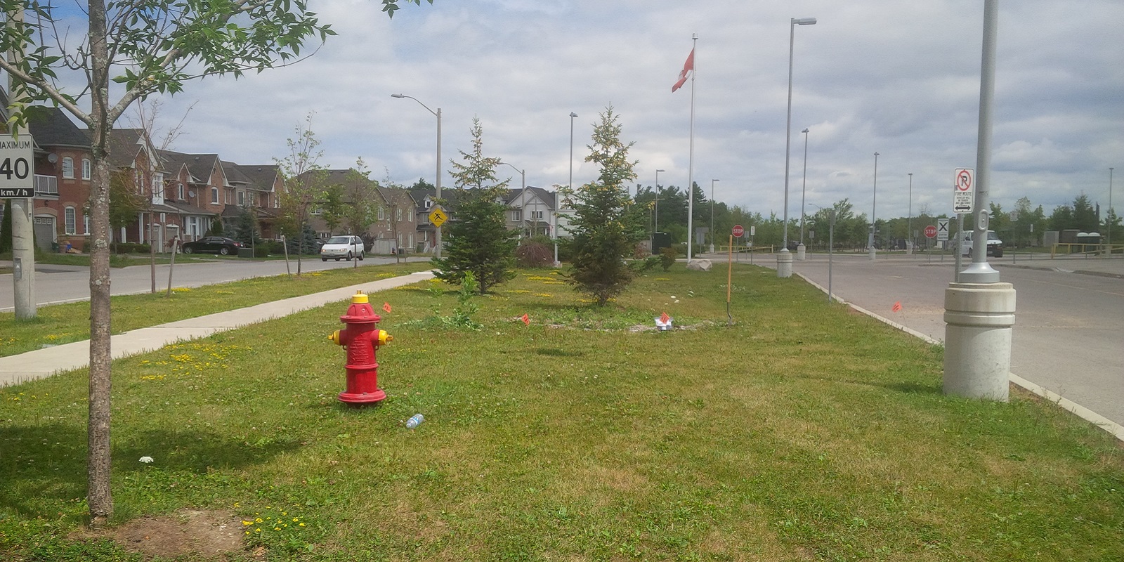 Bond Lake Public School bioswale site before construction