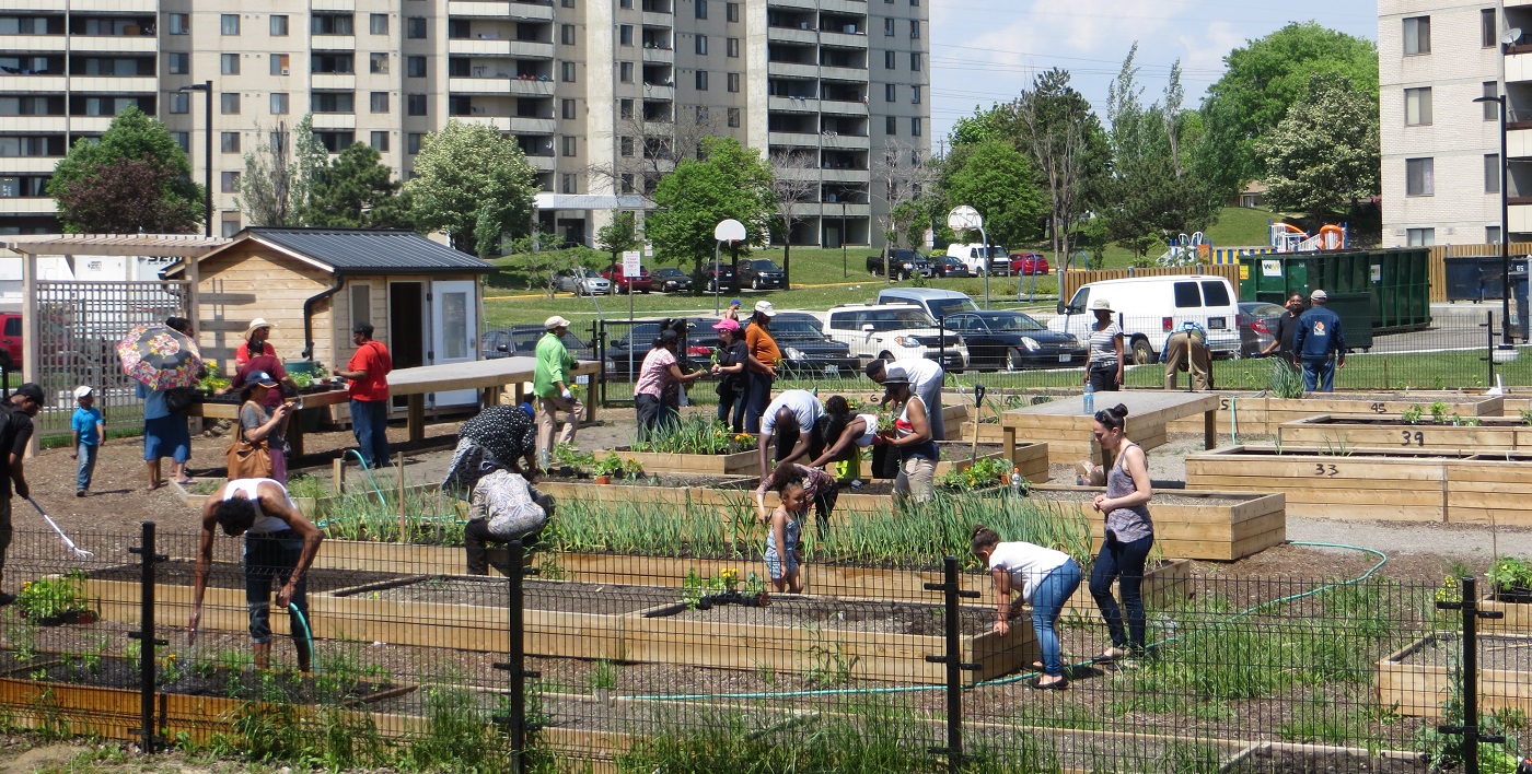 Black Creek SNAP neighbourhood residents work on San Romanoway Towers revival project