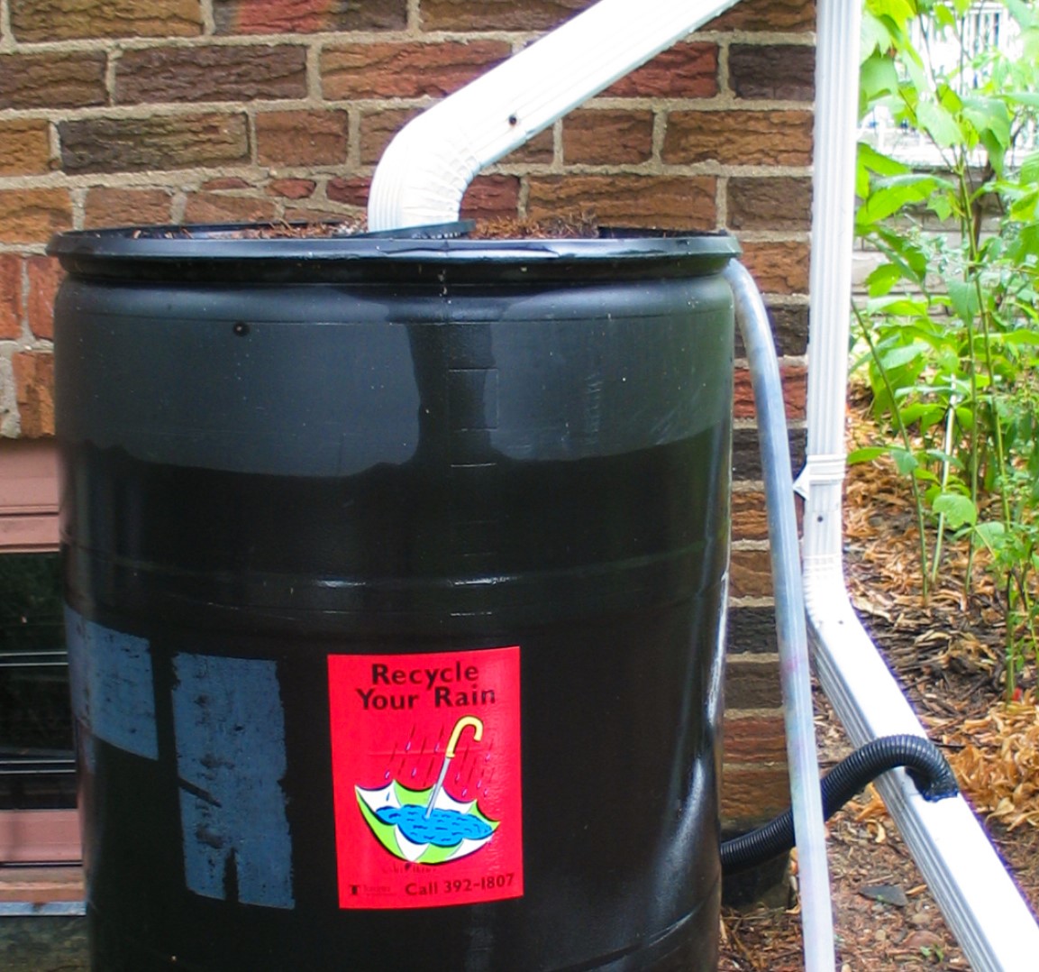 This image shows a black rain barrel against a red brick wall with a white aluminium downspout connected at the top of the barrel. A 2-inch diameter black overflow hose is seen connecting from the rain barrel to another section of downspout.