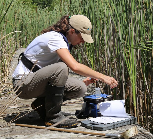 Wetland Work: TRCA Monitoring is on the Watch for West Nile