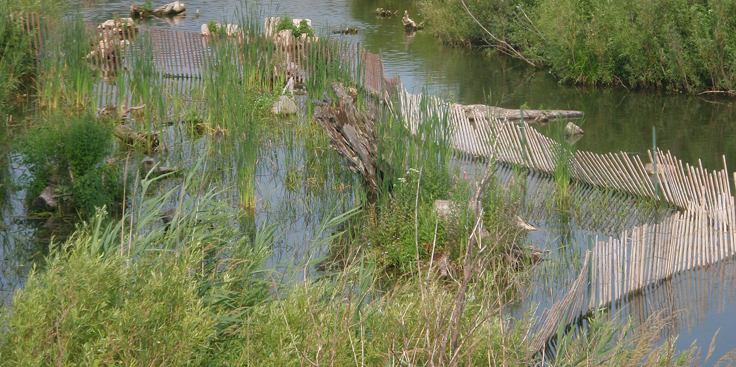 aquatic habitat restoration work underway at Tommy Thompson Park