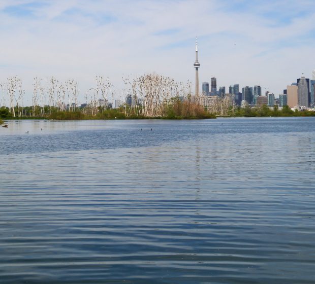 Aquatic Habitat Toronto