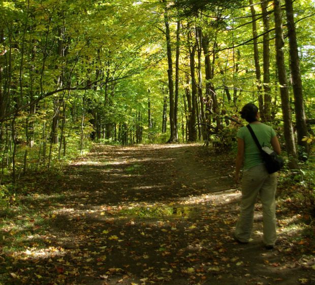 Rouge National Urban Park: One Step Closer