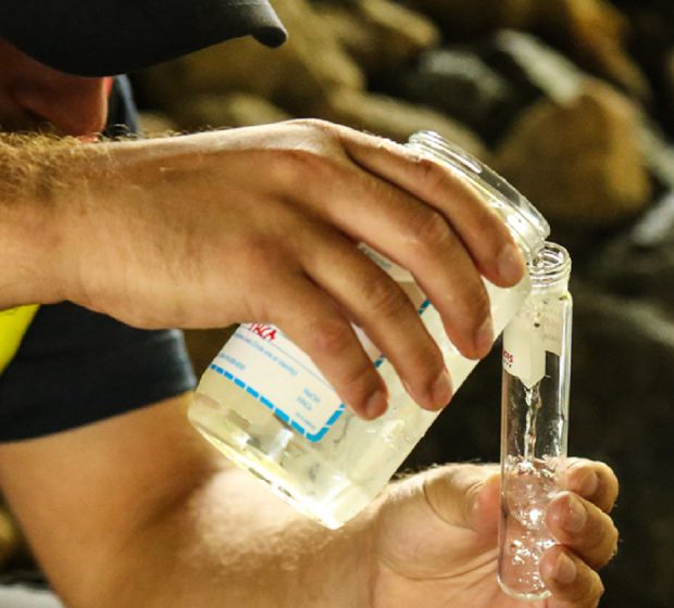 How TRCA Tracks Surface Water Quality Trends