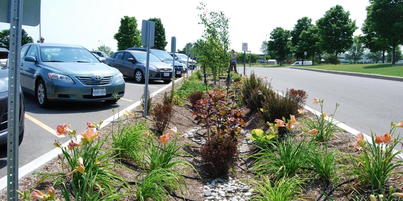 Low Impact Development, bioswale, rain garden