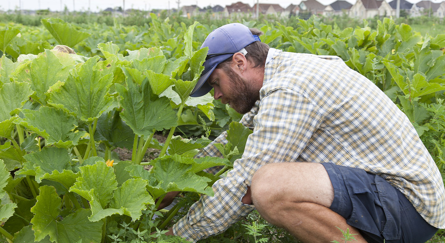 farmer tends field at McVean Farm