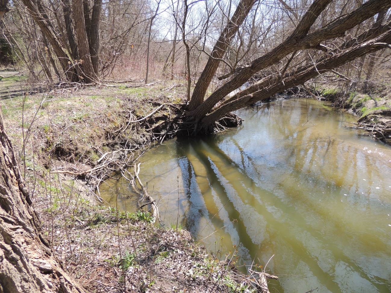 Existing conditions at P-060, facing downstream. TRCA, 2017.