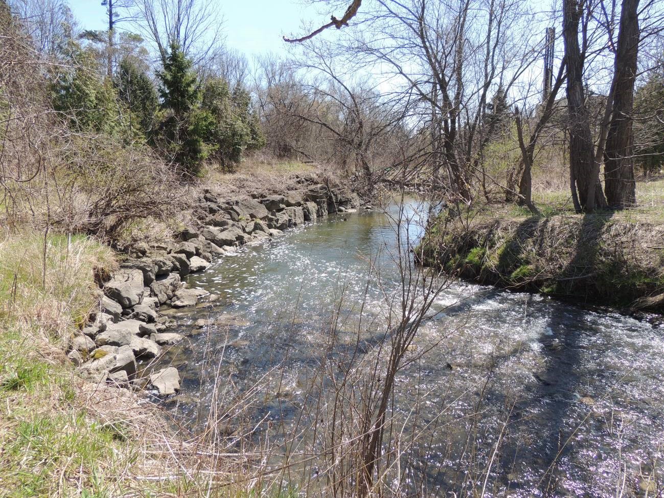 Existing conditions at P-068 facing downstream of pedestrian bridge. TRCA, 2017.
