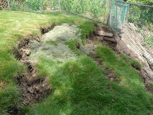 Slumping at top of slope at Peacham Crescent. Source: TRCA, 2013.