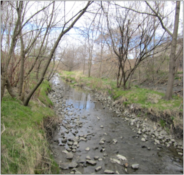 Mimico Malton Channel