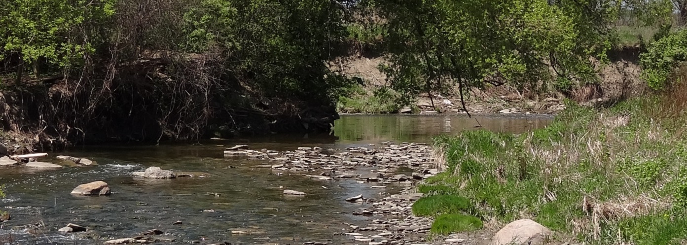 Etobicoke Creek