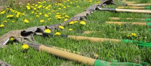 Durham Conservation Youth Corps - Tree Planting @ TRCA Brock Lands (Pickering Museum Parking Lot)