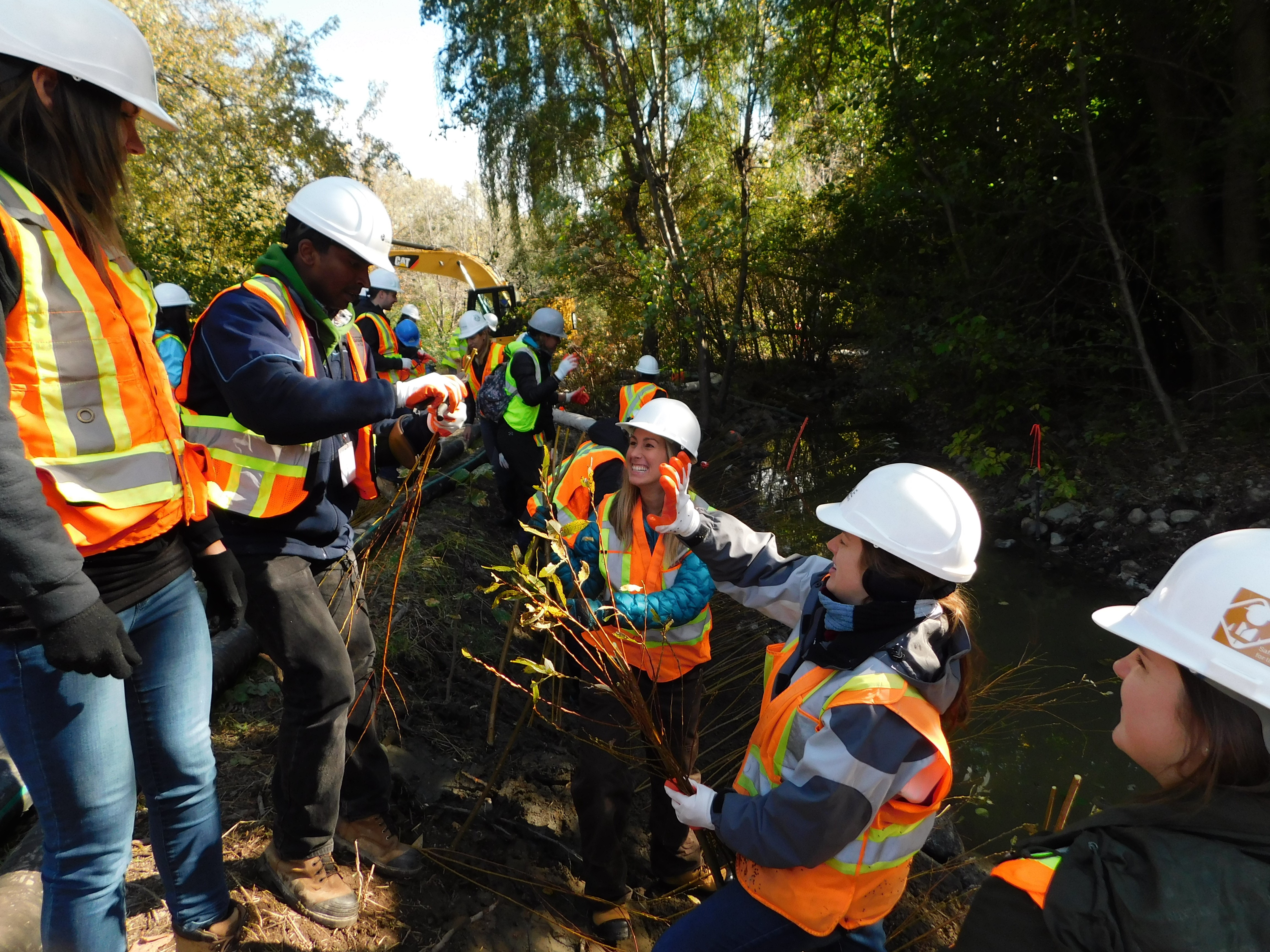 Implementation showcase attendees work to install a portion of the vegetated buttress at Maitland Park