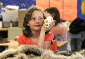 Programs for Teachers and Schools - Toronto and Region Conservation ...