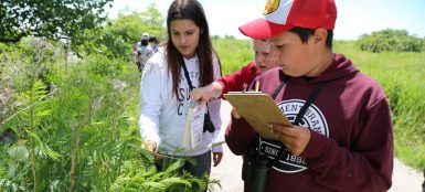 Programs for Teachers and Schools - Toronto and Region Conservation ...
