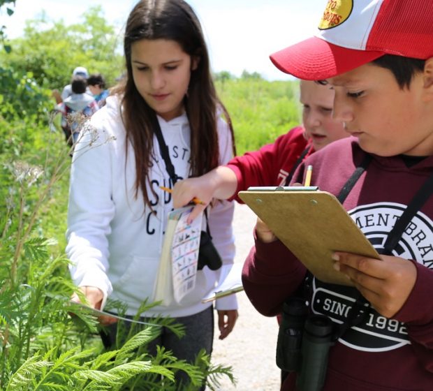 Programs for Teachers and Schools