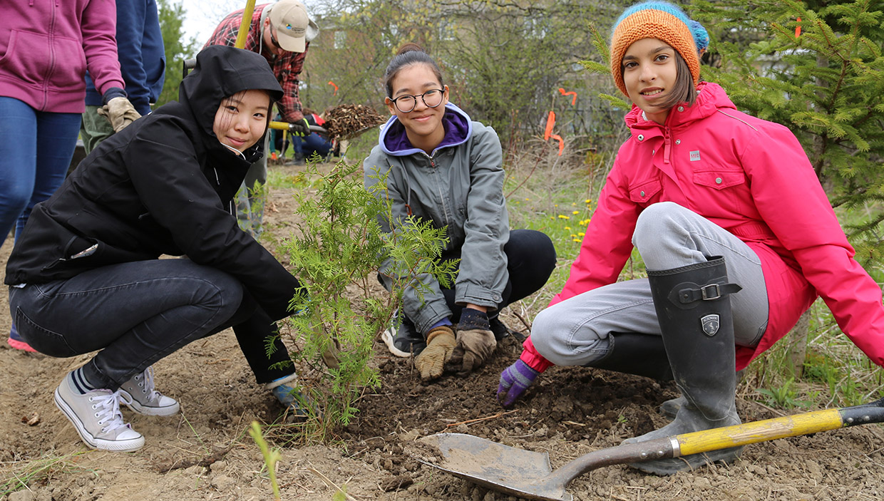 Oak Ridges tree planting event