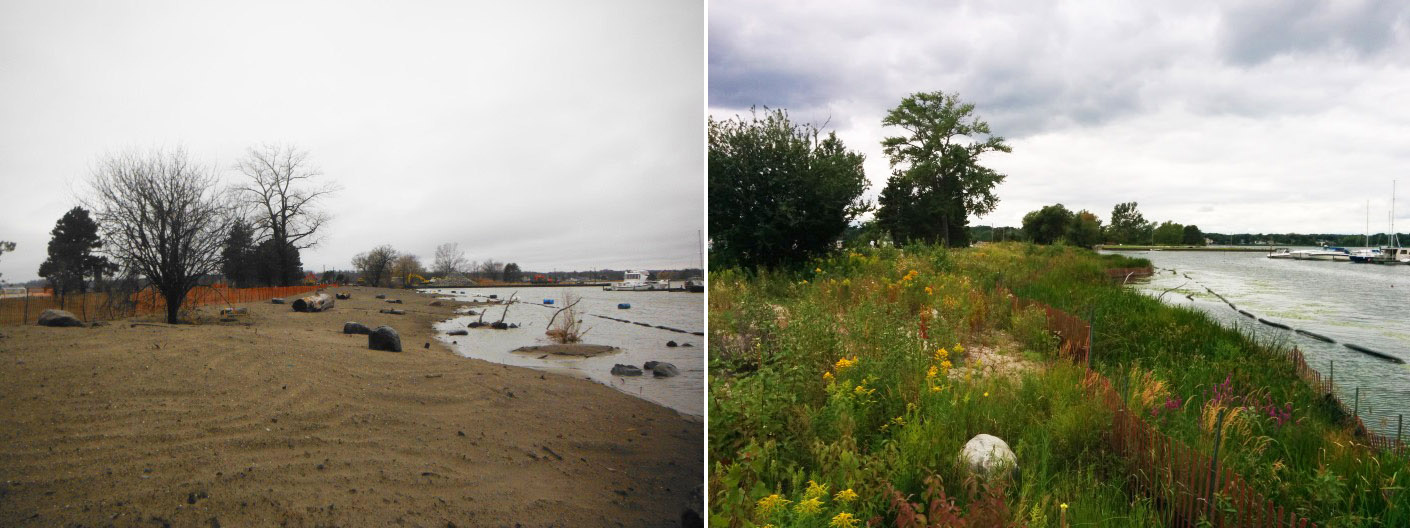 Frenchman's Bay shoreline restoration project