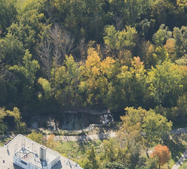 Why Is Hague Park Considered Environmentally Significant?