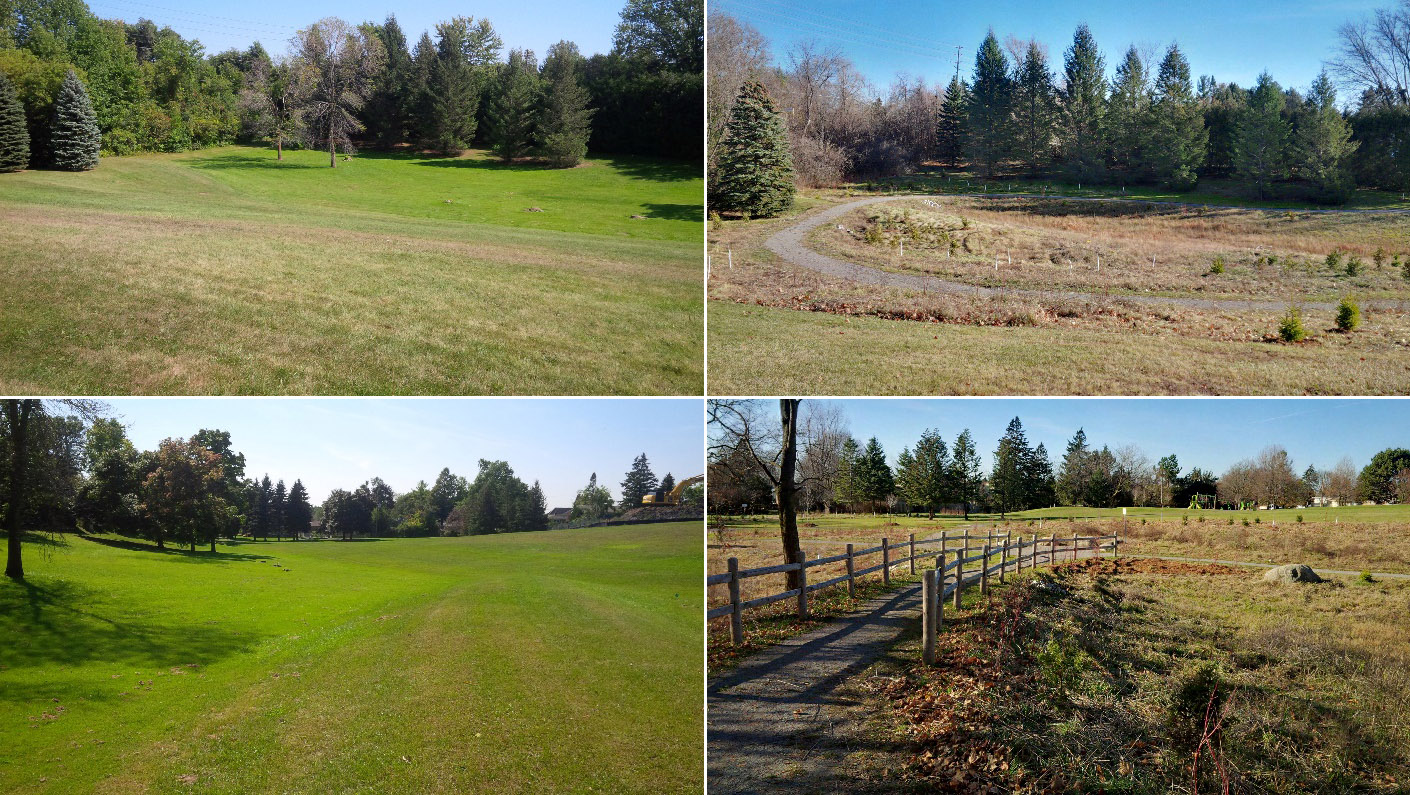 TRCA rain garden project at Glencrest Park