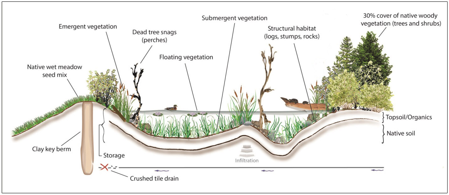 ABoVE: Wetland Type, SRD and PAD, Canada, 2007 & 2017