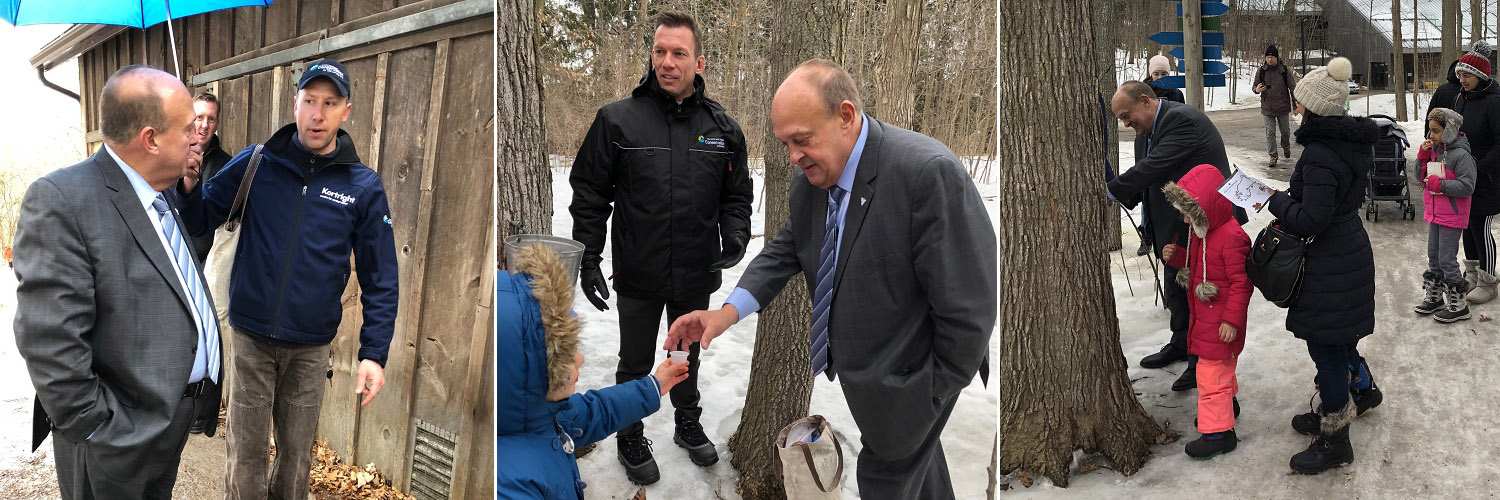 Honourable Michael Tibollo tours Sugarbush Maple Syrup Festival at Kortright Centre