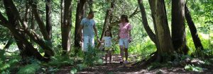 Parent and Tot Trail Walk - Discover the Forest @ Claremont Nature Centre