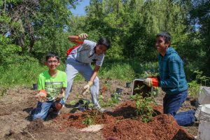 Youth Volunteer Event: Tree Maintenance @ Saigeon Trail (meet at entrance beside 19 Jonah Drive, Richmond Hill, ON L4E 4S8)