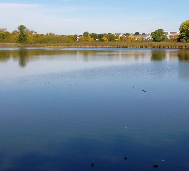 Carruthers Creek