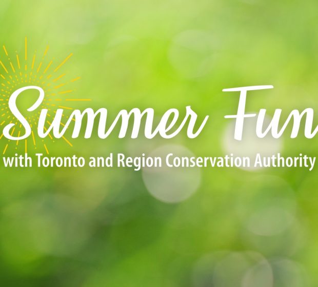 Summer Fun With TRCA
