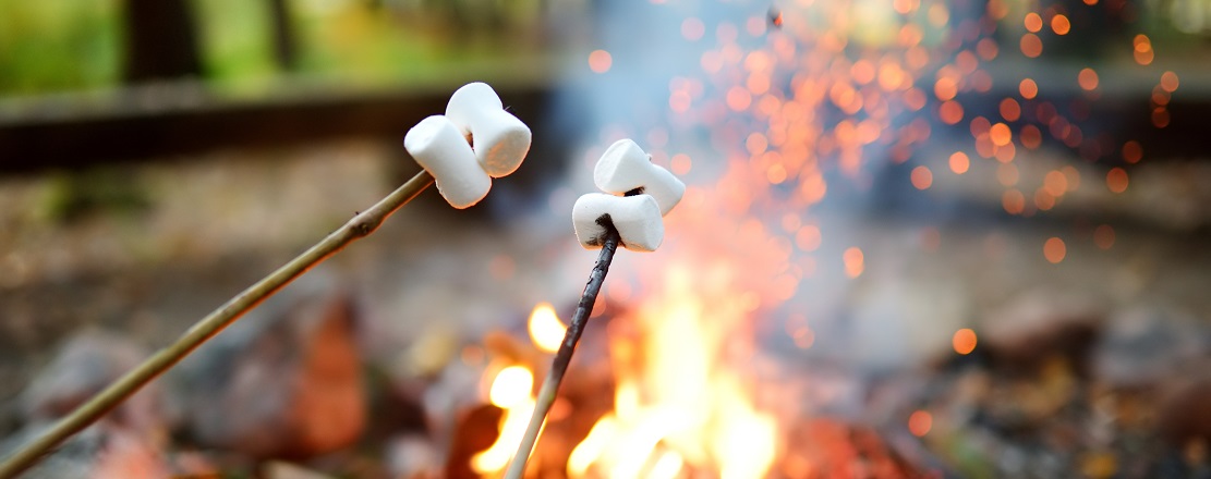 marshmallows being toasted over a campfire