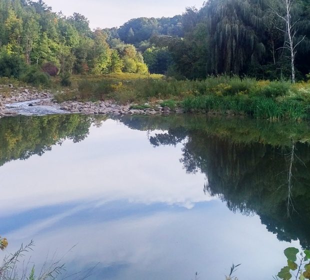 Highland Creek