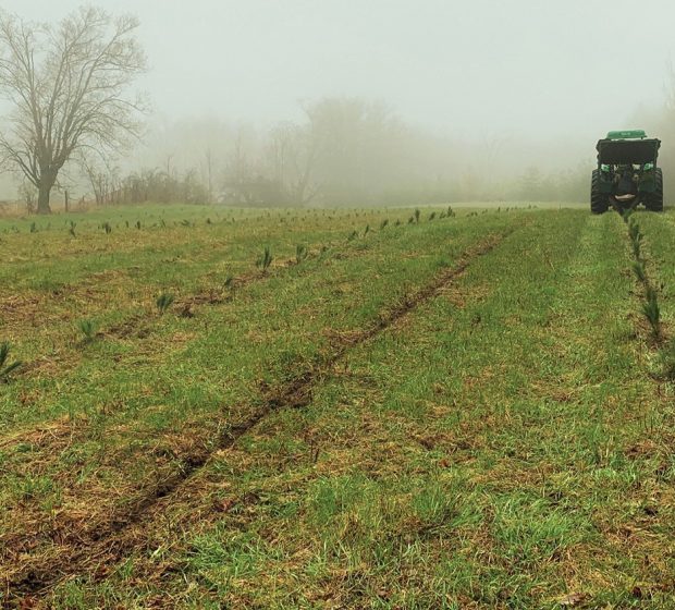 Private Land Planting Program
