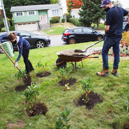 West Bolton SNAP Green Home Makeover homeowners and neighbours plant native species on their property