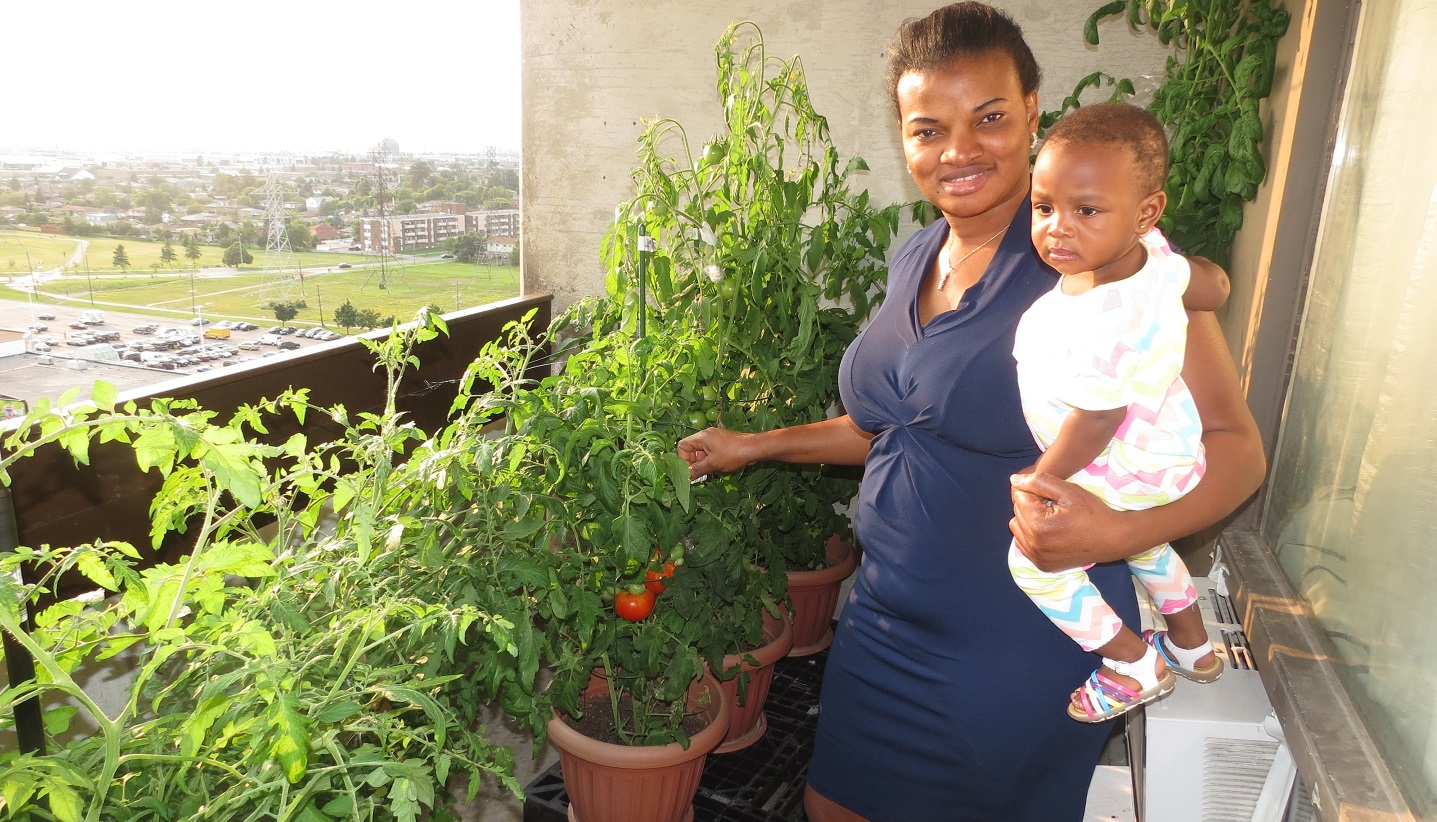 San Romanoway Towers resident displays results of Black Creek SNAP edible balconies container gardening project