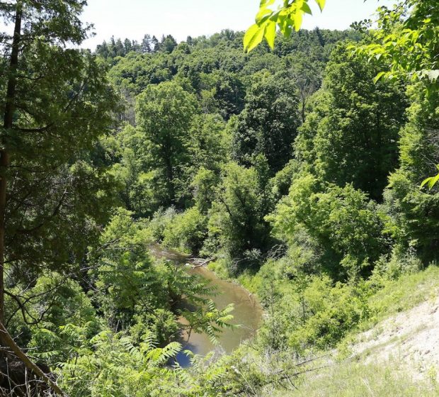 Response to Inaccurate Media Coverage of TRCA’s Stance Regarding the Proposed GTA West Highway